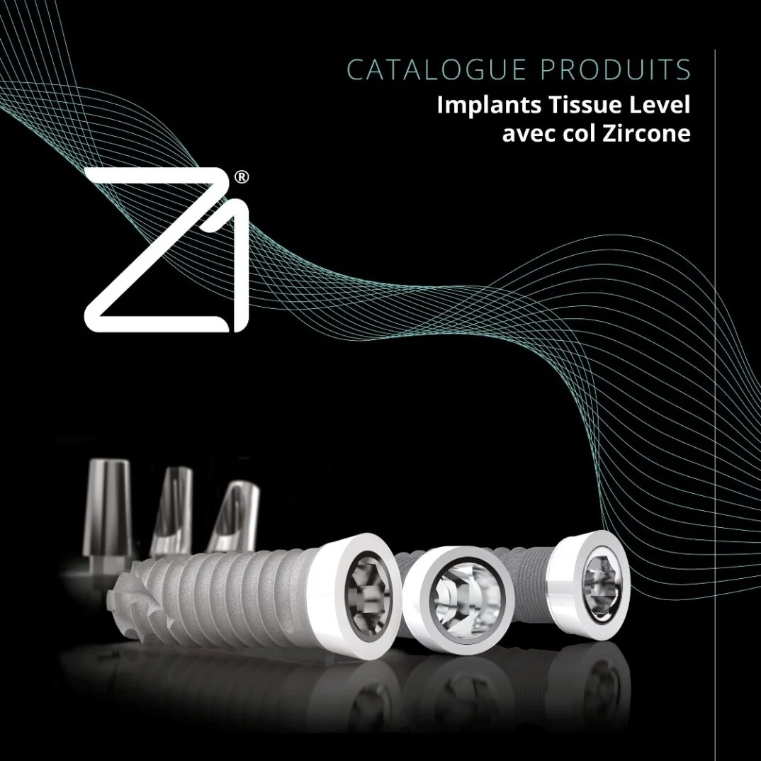 Catálogo The Z1