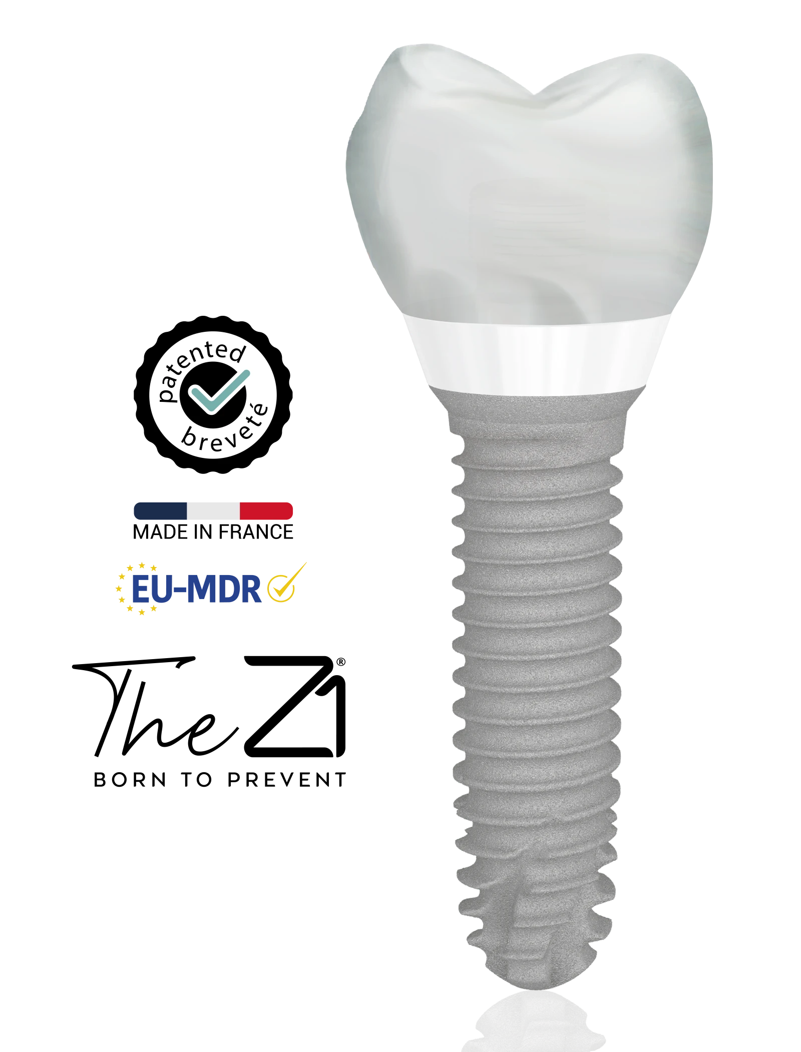 Z1 implant — crown, zirconia collar, titanium body
