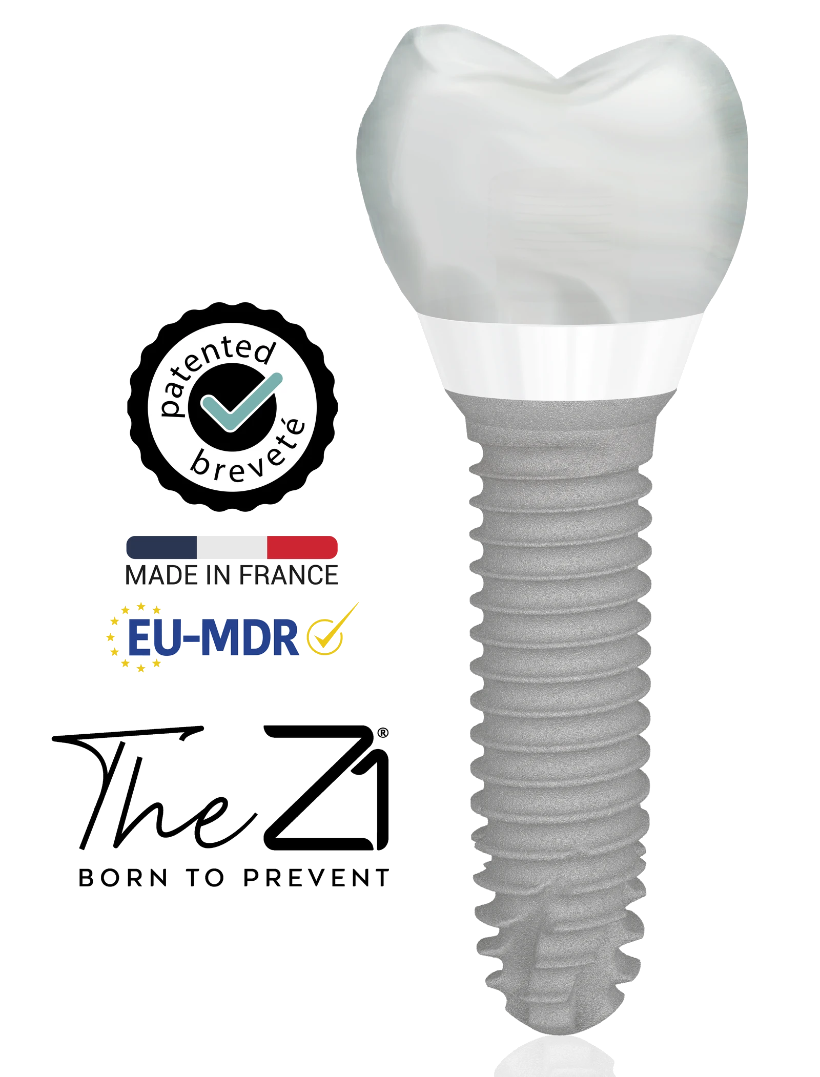 Z1 implant — crown, zirconia collar, titanium body