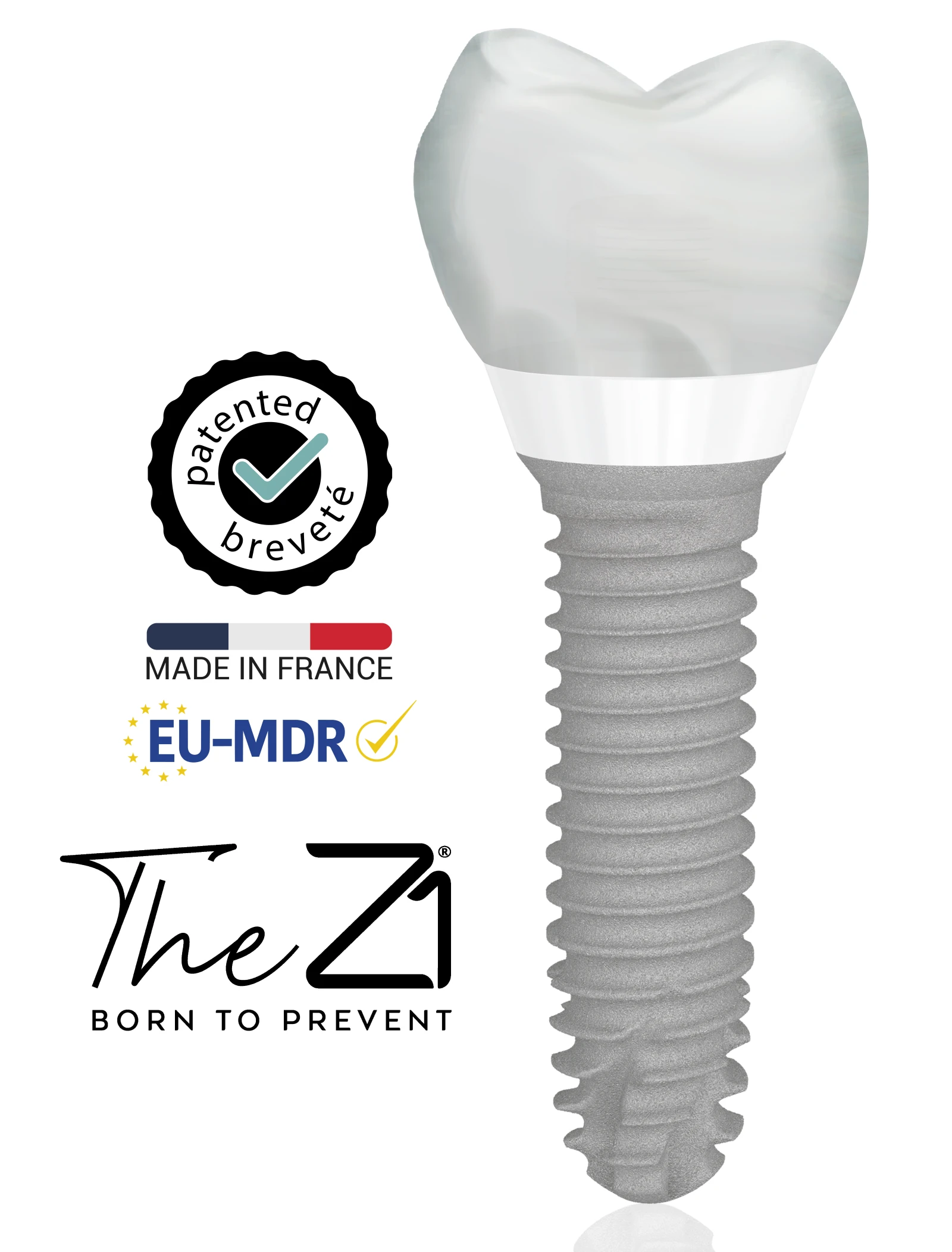 Z1 implant — crown, zirconia collar, titanium body